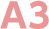 A3